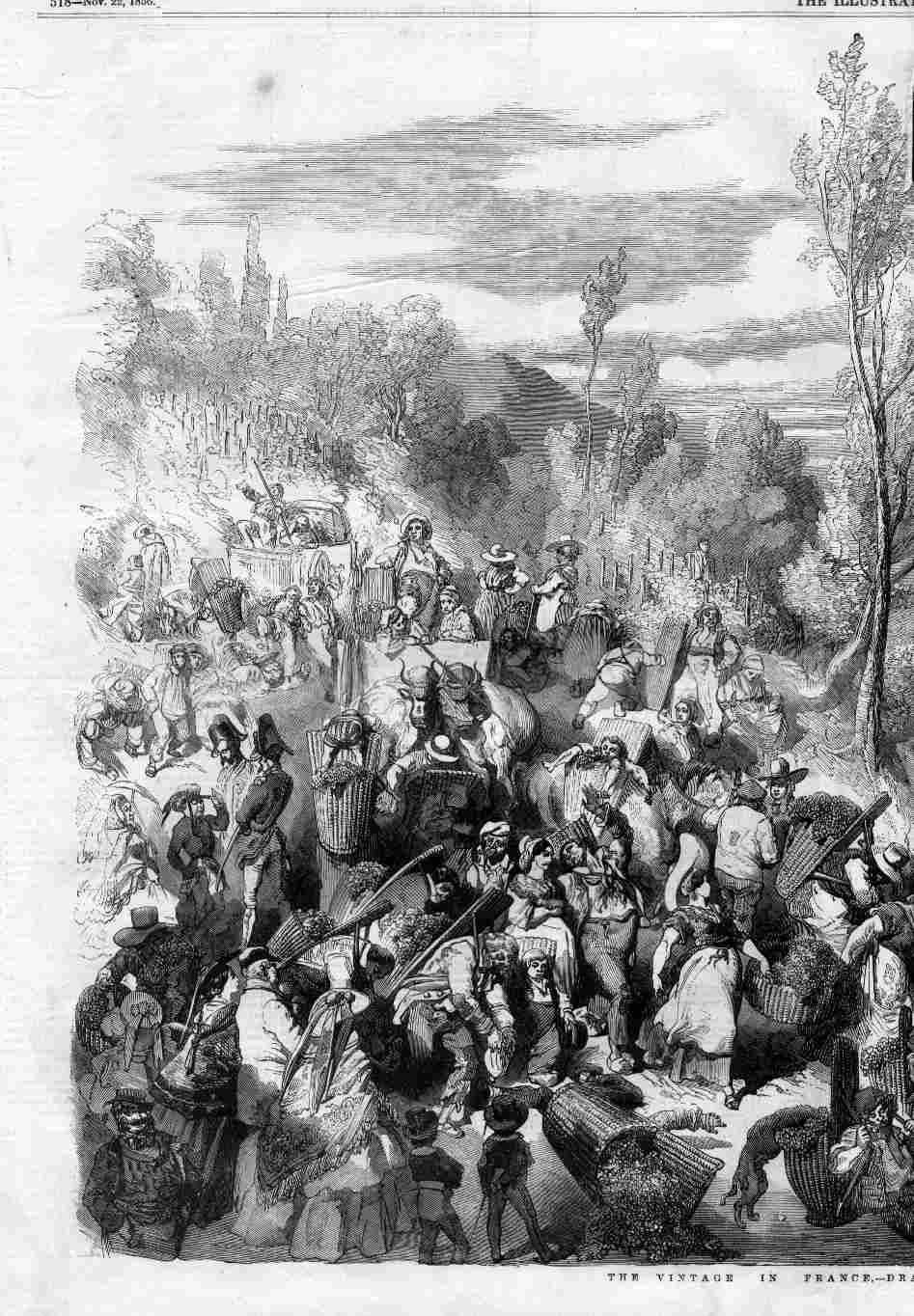 ILN Nov 22 1856 P8